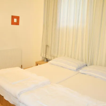 דירה Steinkogler אבנסי